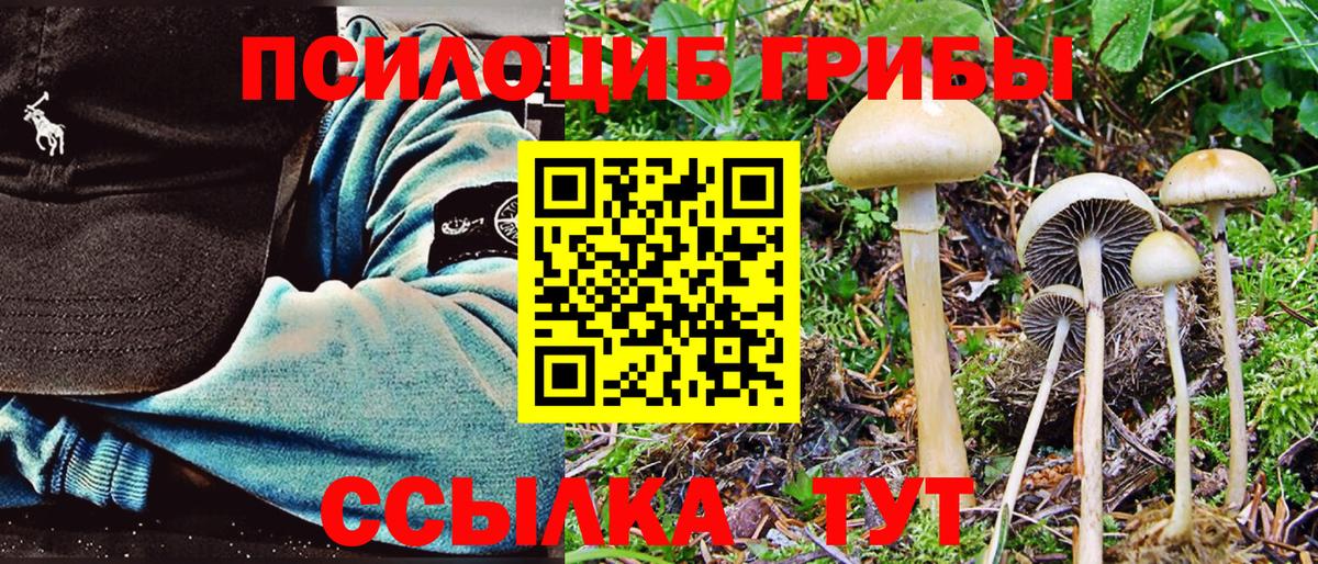 Сургут  Псилоцибиновые грибы Magic Shrooms  Вход с VPN  Псилоцибиновые грибы ЛСД 