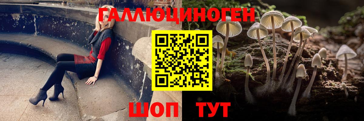 Псилоцибиновые грибы MAGIC MUSHROOMS Сургут